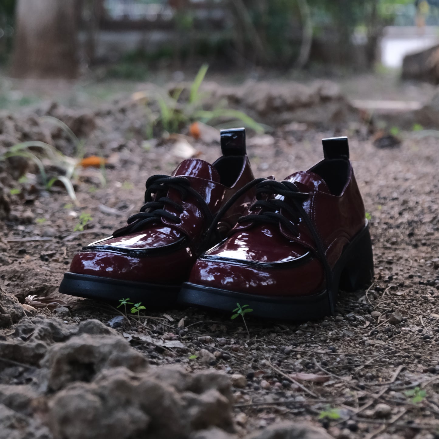 Derby vernie - ديربي